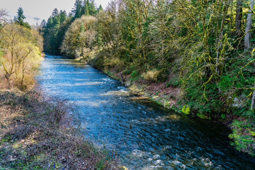 Cedar River Renton