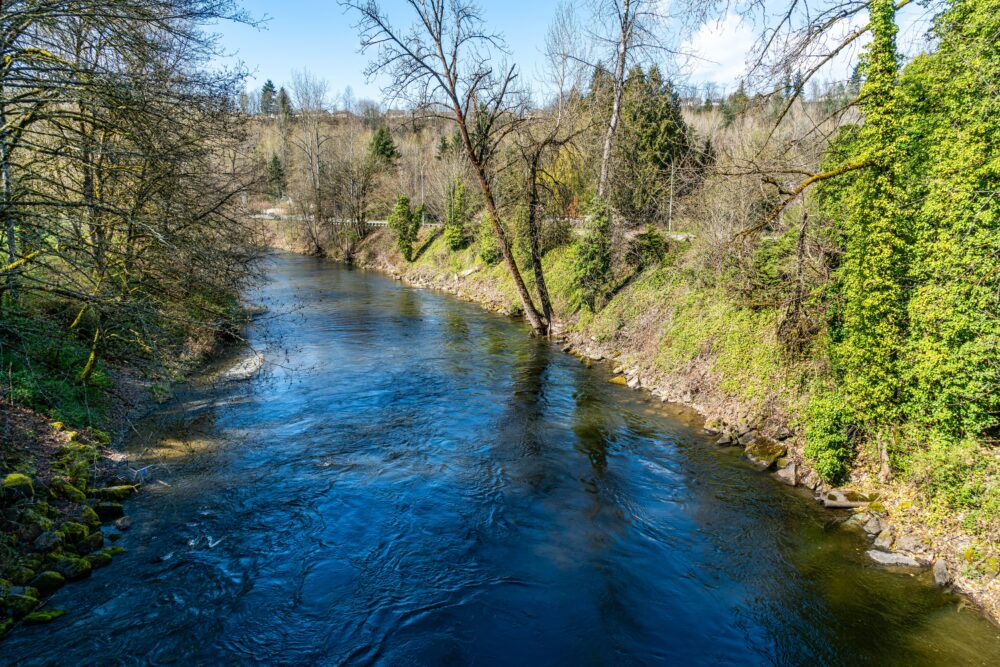 Cedar River Renton 